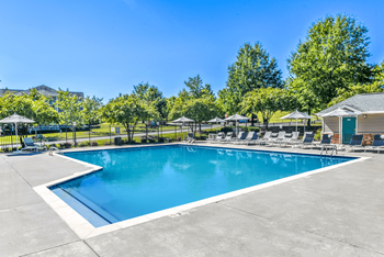 Large pool
